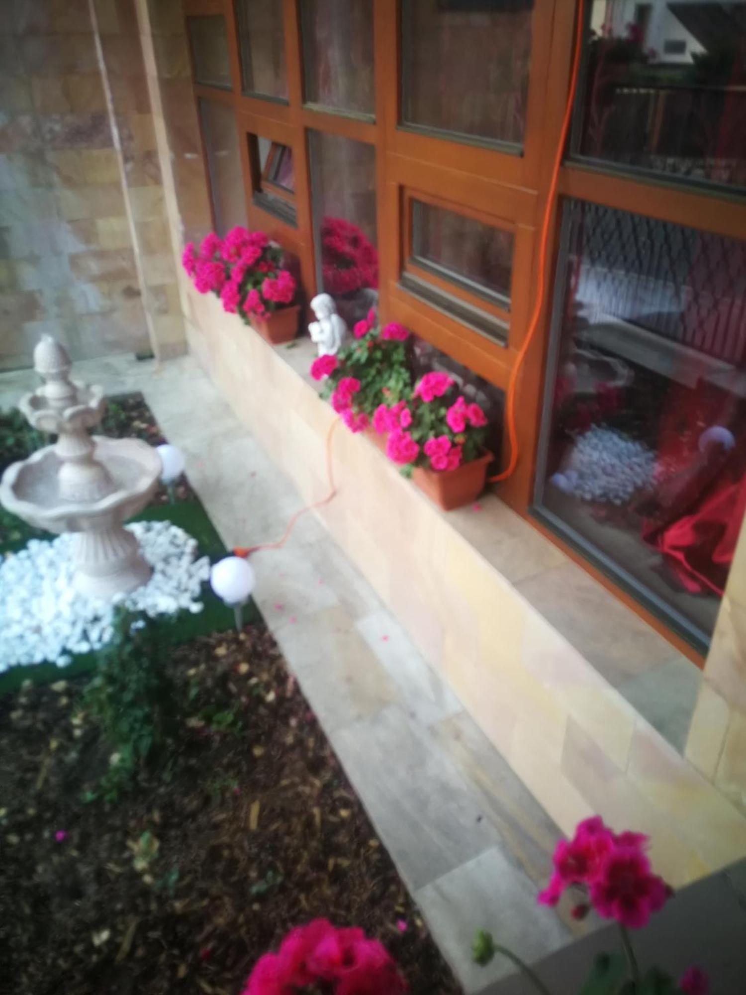 Villa Barrandovska Πράγα Εξωτερικό φωτογραφία